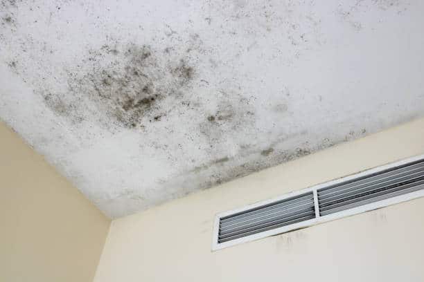 mauvaise ventilation moisissures plafond