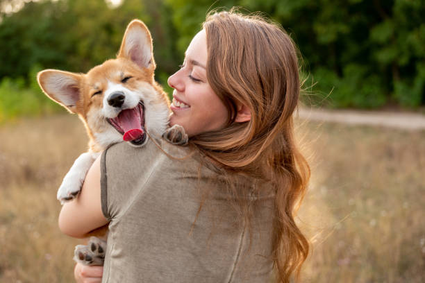 10 raisons d’adopter un chien