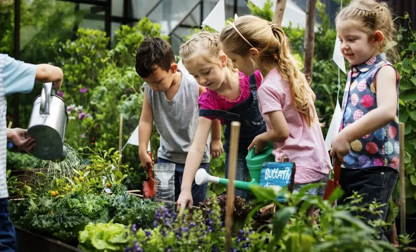 3 idées d’activités à faire dans son jardin avec des enfants
