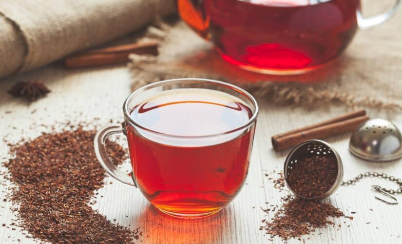 Rooibos : en quoi est-il différent des autres thés ?