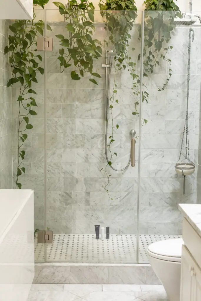 plantes dans salle bains moderne